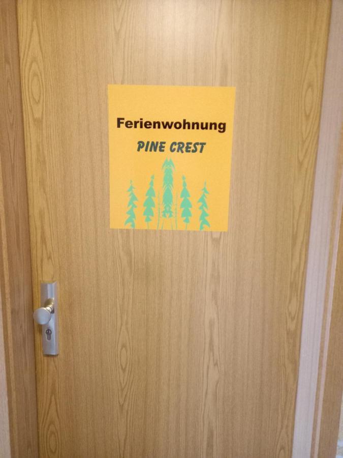 Pine Crest Ferienwohnung Harzgerode Buitenkant foto
